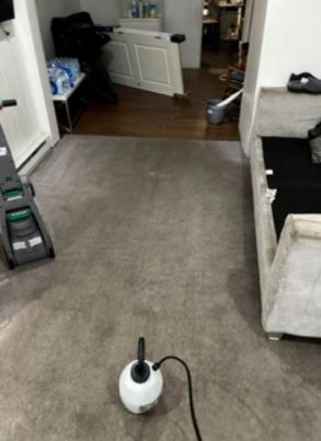 Cleaning Services in Springfield, PA (2)